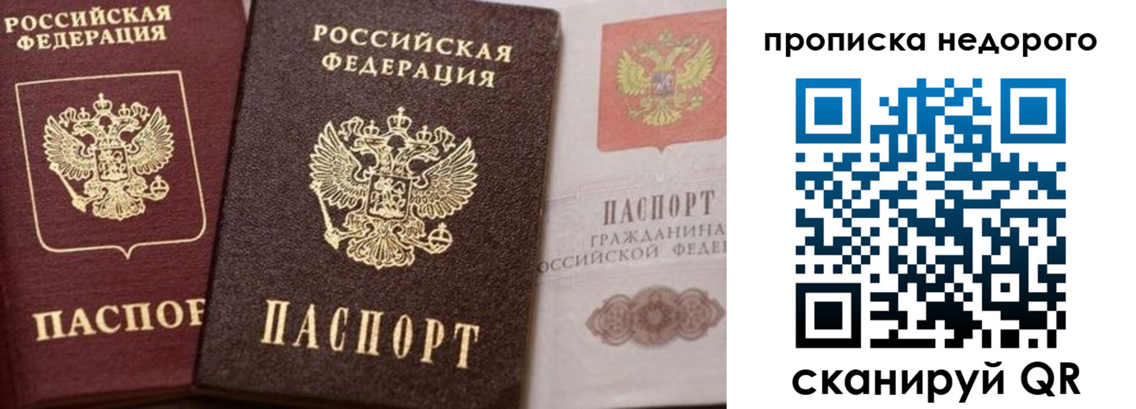 временная регистрация надежно в Апатитах